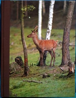 Imagen del vendedor de Wildlife in Britain; A Guide to Natural Habitats, Safari Parks and Zoos a la venta por Sapience Bookstore