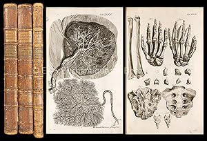 Theatrum anatomicum. Adiectae sunt. Barth. Eustachii tabulae anatomicae.