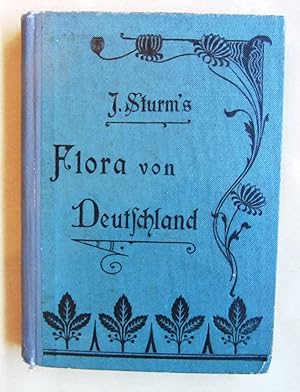 J. Sturms Flora von Deutschland in Abbildungen nach der Natur. Band 14, 2. Hälfte: Haufenblütige....