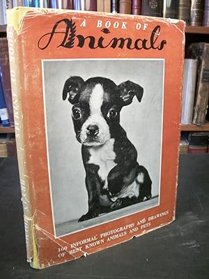 A Book of Animals: Cats, Dogs, Horses, Birds, Farm and Zoo Animals