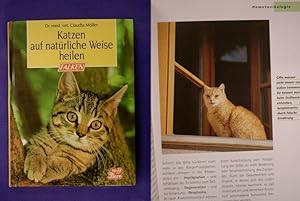 Bild des Verkufers fr Katzen auf natrliche Weise heilen zum Verkauf von Buchantiquariat Uwe Sticht, Einzelunter.