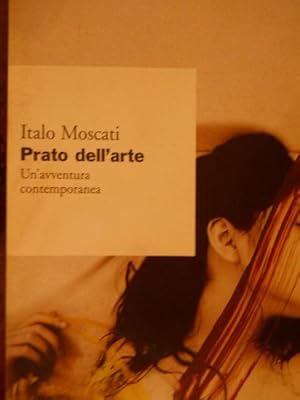 Prato dell'arte. Un'avventura contemporanea