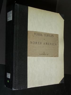 Fossil Turtles of North America