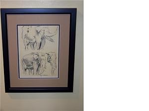 African Elephants ** Original Wilhelm Kuhnert Drawing **