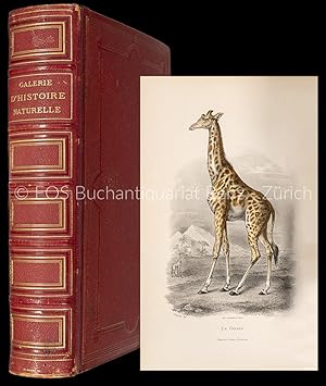 Galerie d'histoire naturelle tirée des oeuvres complètes de Buffon. Ornée de trente-deux gravures...