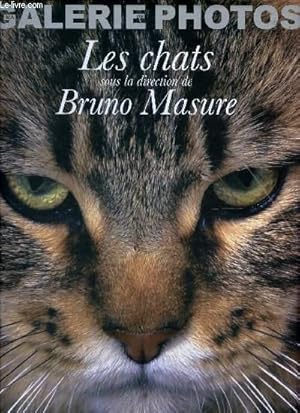 Seller image for LES CHATS / COLLECTION "GALERIE PHOTOS". for sale by Le-Livre