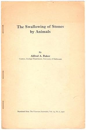 Imagen del vendedor de The Swallowing of Stones by Animals. a la venta por City Basement Books