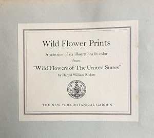 Wild Flower Prints; A selection of six illustrations in color from 'Wild Flowers of the United St...