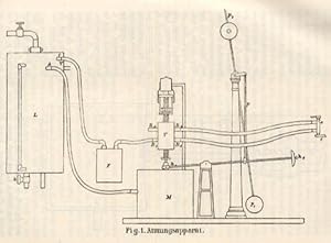 Seller image for Calorimetrische Untersuchungen. Erster-Dritter Artikel (pp.1-53, 1 Taf.). + Ueber knstliche Athmung (pp.64-72, 8 Abb.). for sale by Antiq. F.-D. Shn - Medicusbooks.Com