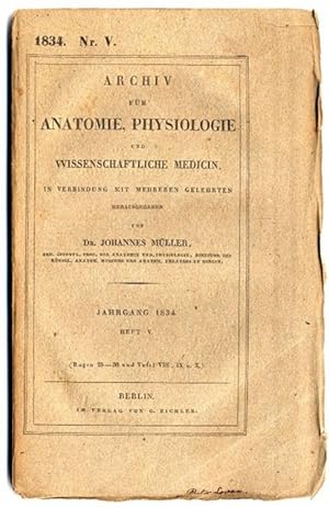 Bild des Verkufers fr Entdeckung continuirlicher, durch Wimperhaare erzeugter Flimmerbewegungen, als eines allgemeinen Phnomens in den Klassen der Amphibien, Vgel und Sugethiere (pp.391-400). zum Verkauf von Antiq. F.-D. Shn - Medicusbooks.Com