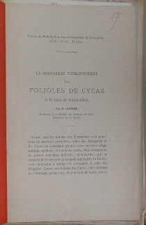 Imagen del vendedor de La nervation taeniopteride des folioles de cycas et le tissu de transfusion. a la venta por alphabets