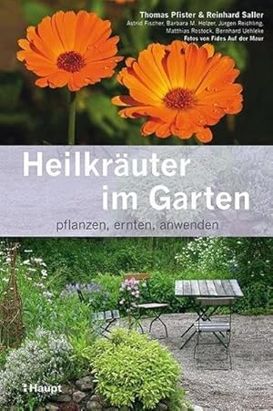 Bild des Verkufers fr Heilkruter im Garten : pflanzen, ernten, anwenden zum Verkauf von AHA-BUCH GmbH