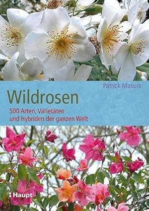 Bild des Verkufers fr Wildrosen : 500 Arten, Varietten und Hybriden der ganzen Welt zum Verkauf von AHA-BUCH GmbH