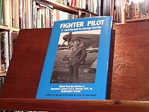 Seller image for Fighter Pilot for sale by The Topsham Bookshop