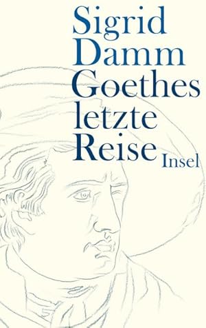 Imagen del vendedor de Goethes letzte Reise a la venta por Rheinberg-Buch Andreas Meier eK