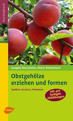 Bild des Verkufers fr Obstgehlze erziehen und formen zum Verkauf von Rheinberg-Buch Andreas Meier eK