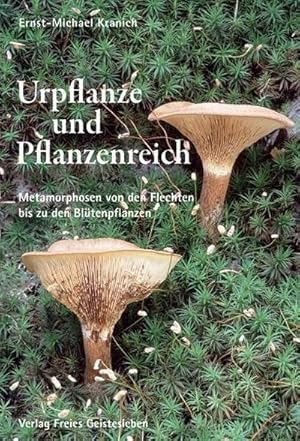 Seller image for Urpflanze und Pflanzenreich for sale by Rheinberg-Buch Andreas Meier eK