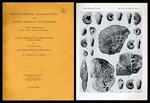 Jurassic Ammonites From Jebel Tuwaiq, Central Arabia, with R. A. Bramkamp; M. Steineke With Strat...