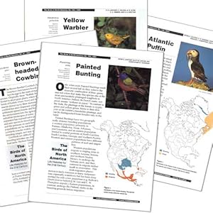 Imagen del vendedor de Blackburnian Warbler: Birds of North America species account a la venta por Buteo Books