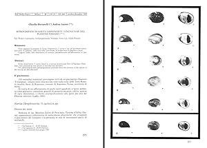 Bild des Verkufers fr Ritrovamento di Nerita (Amphinerita) zatinii n sp nel Pliocene Toscano. In 8vo, offp., pp. 6 with 1 pl. Offprint from Bollettino Malacologico vol. 21(10-12) zum Verkauf von NATURAMA