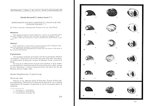 Imagen del vendedor de Ritrovamento di Nerita (Amphinerita) zatinii n sp nel Pliocene Toscano. In 8vo, offp., pp. 6 with 1 pl. Offprint from Bollettino Malacologico vol. 21(10-12) a la venta por NATURAMA