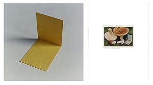 Image du vendeur pour Jason Fulford: The Mushroom Collector, Limited Edition (with Print, "Folded Paper" Variant) mis en vente par Vincent Borrelli, Bookseller