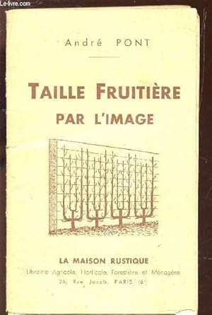 Seller image for TAILLE FRUTIERE PAR L'IMAGE. for sale by Le-Livre