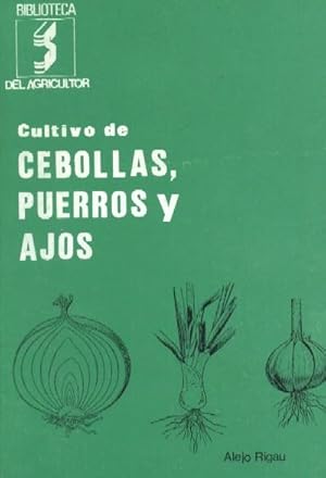 CULTIVO DE CEBOLLAS, PUERROS Y AJOS