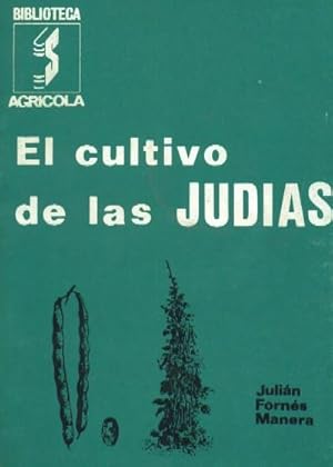 EL CULTIVO DE LAS JUDIAS