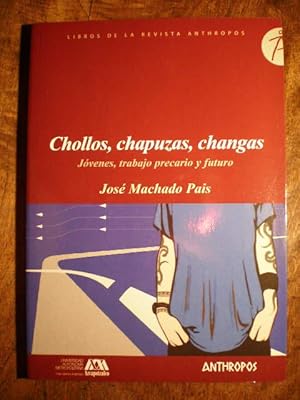 Chollos, chapuzas, changas. Jóvenes, trabajo precario y futuro