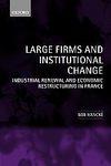 Immagine del venditore per Large Firms and Institutional Change: Industrial Renewal and Economic Restructuring in France venduto da Mahler Books