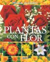 Plantas De Jardín. Plantas con flor