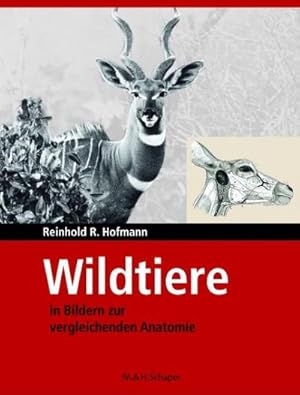 Imagen del vendedor de Wildtiere in Bildern zur Vergleichenden Anatomie a la venta por Rheinberg-Buch Andreas Meier eK