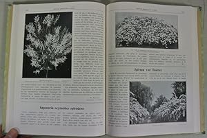 Imagen del vendedor de REVUE HORTICOLE SUISSE. Publication Mensuelle, Scientifique et Pratique D'Horticulture, Annee 6 (1933) [= Jahrgang/Volume 6 (1933)] Komplett, gebundene Zeitschrift. a la venta por Antiquariat Bookfarm