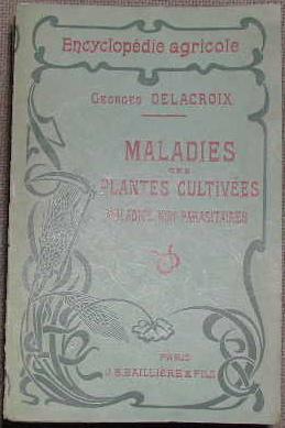 Maladies des plantes cultivées, maladies non parasitaires.