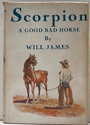 Scorpion, a good bad horse