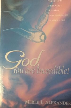 God, You Are Incredible!: True Stories from People Who Have Encountered Our Incredible God