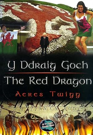 Seller image for Y Ddraig Goch / The Red Dragon for sale by Pendleburys - the bookshop in the hills