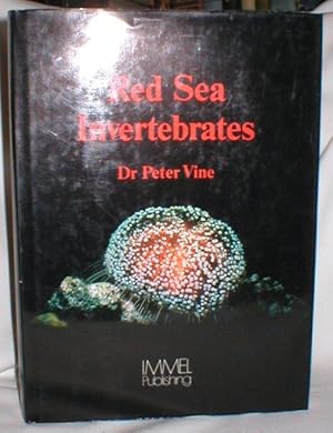 Red Sea Invertebrates