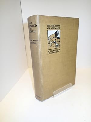 Seller image for The Childhood Of Animals for sale by YattonBookShop PBFA