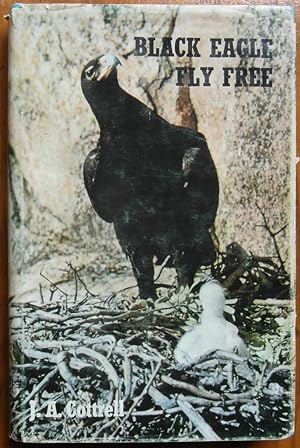 Imagen del vendedor de Black Eagle Fly Free a la venta por CHAPTER TWO