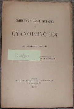 Contribution à l'étude cytologique des cyanophycées.