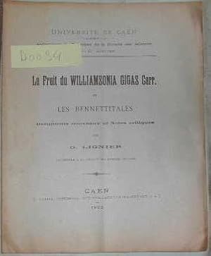 Imagen del vendedor de Le fruit du Williamsonia Gigas Carr. et les Bennettitales, documents nouveaux et notes critiques. a la venta por alphabets