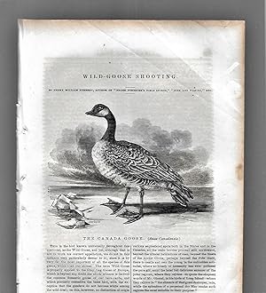 Seller image for Wild - Goose Shooting for sale by Legacy Books II