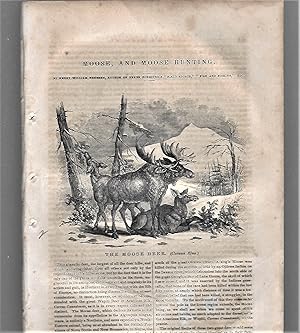Bild des Verkufers fr Moose And Moose Hunting zum Verkauf von Legacy Books II