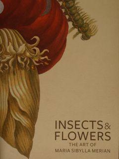 Insects & Flowers. The art of Maria Sibylla Merian.