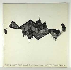 The Multiple Image: photographs by Harry Callahan