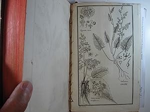 Imagen del vendedor de HISTOIRE DES PLANTES DE DAUPHIN a la venta por Costa LLibreter