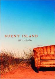 Immagine del venditore per Burnt Island venduto da Monroe Street Books