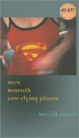 Immagine del venditore per Here Beneath Low-Flying Planes venduto da Monroe Street Books